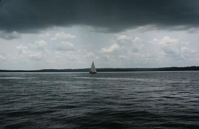6391942-md.jpg