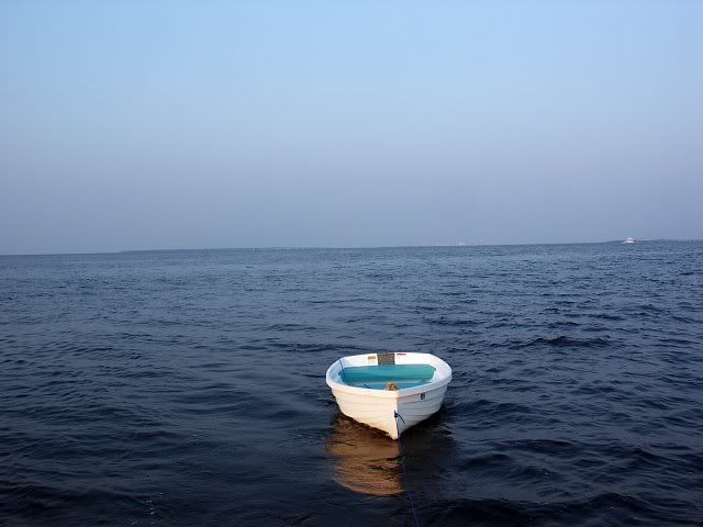 6392207-lg.jpg