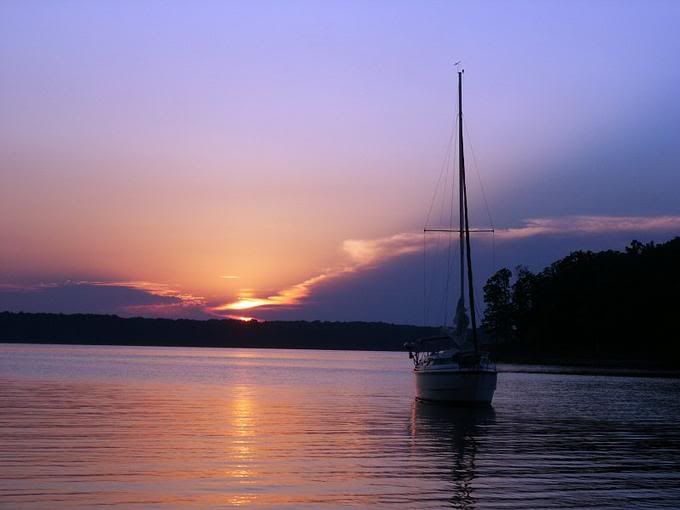 6392262-md.jpg