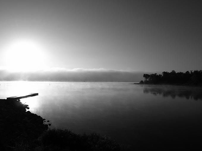 6468184-md.jpg