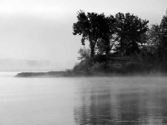 6468187-md.jpg