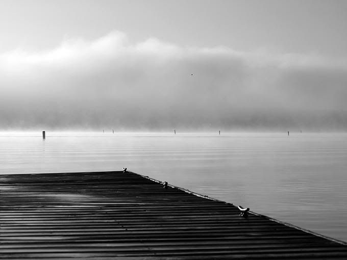 6468189-md.jpg