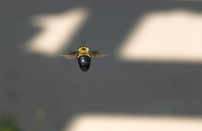 7269280-md.jpg