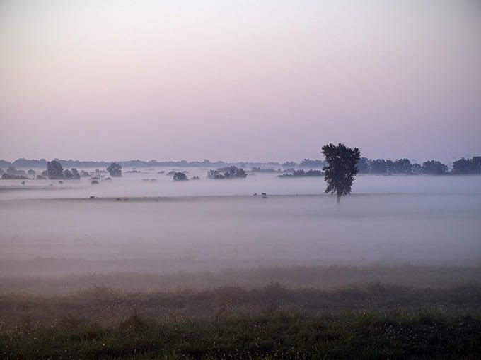 7903420-md.jpg