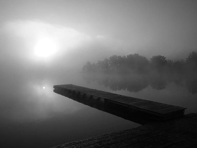 7939954-md.jpg