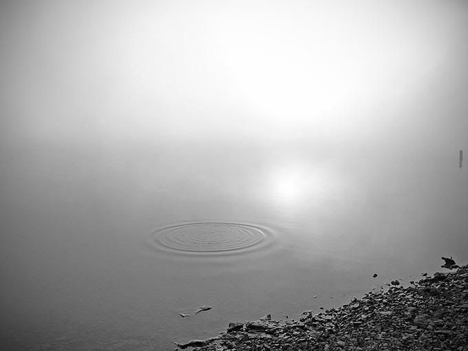 7939958-md.jpg