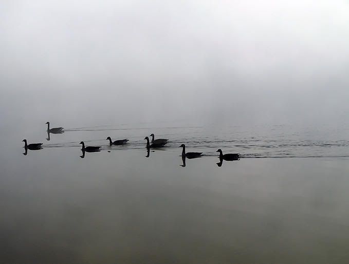7939973-md.jpg