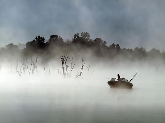 7939976-md.jpg