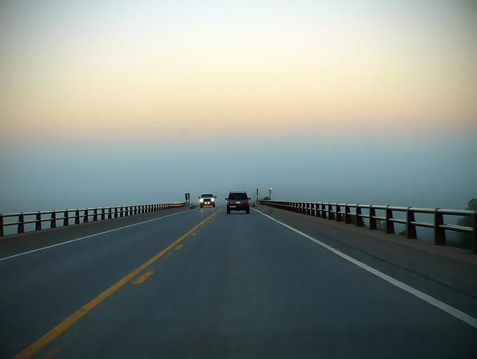 7978419-md.jpg