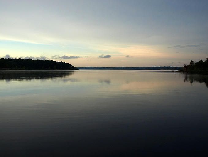 8454257-md.jpg