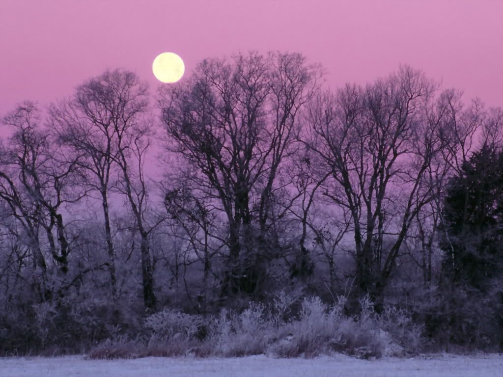 FullMoonoverEdwinWarnerPark.jpg