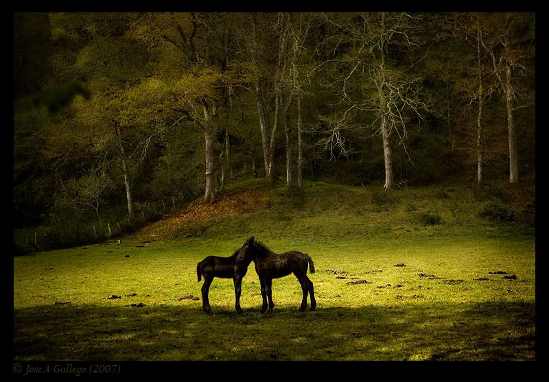 JoseAGallego-photos09.jpg