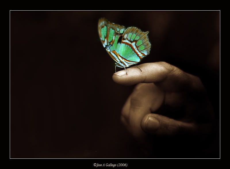 JoseAGallego-photos23.jpg