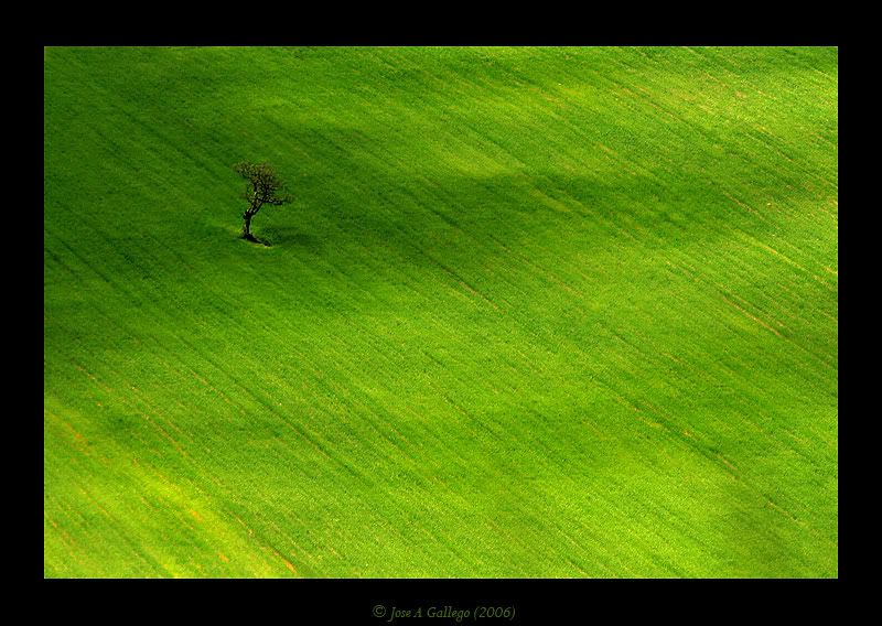 JoseAGallego-photos26.jpg