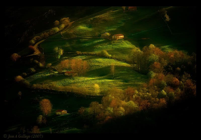 JoseAGallego-photos60-2.jpg