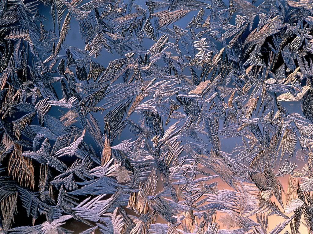 MorningFrost-1600x1200-ID36.jpg