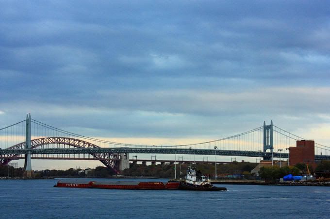 8138192-md.jpg
