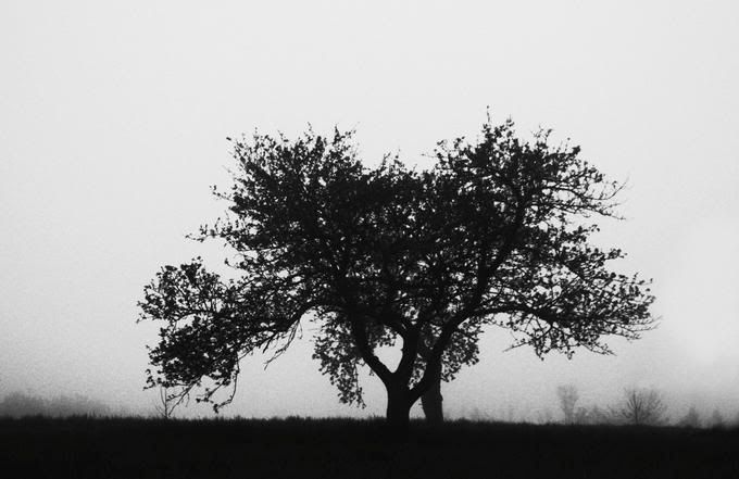 9203552-md.jpg