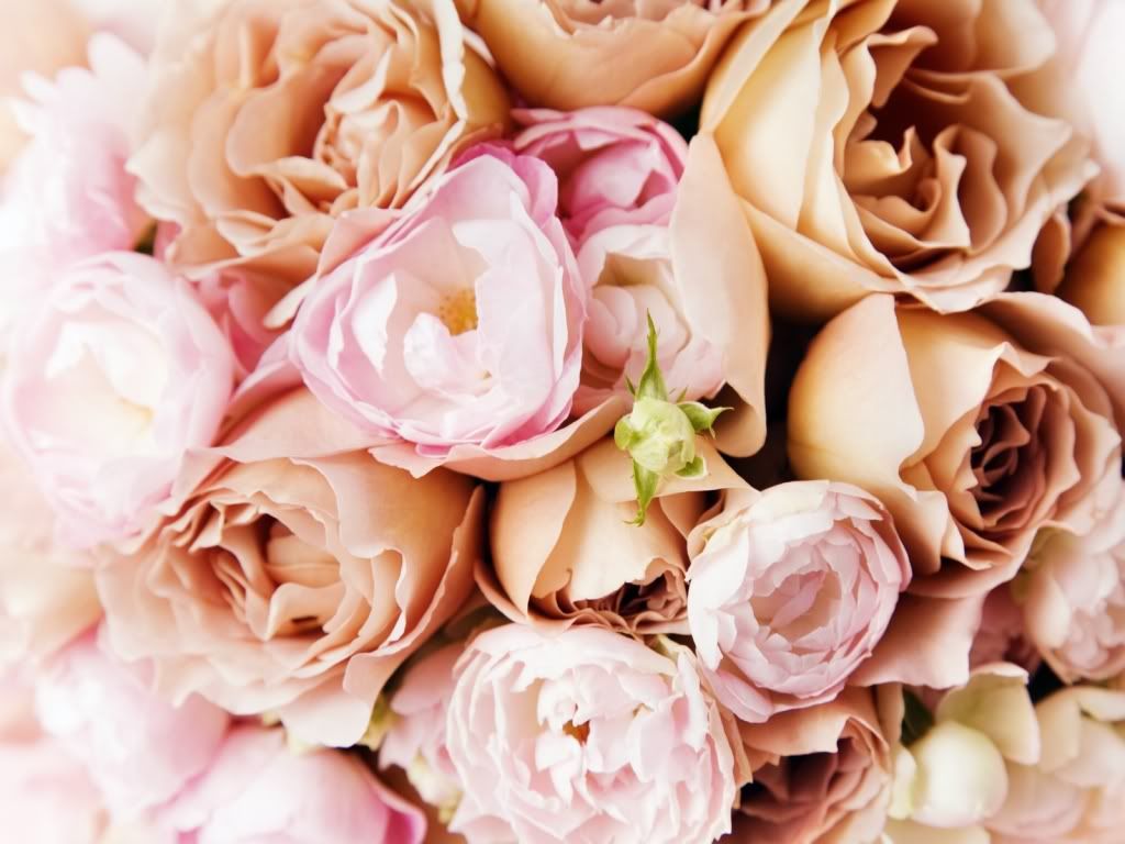 flowers_634.jpg