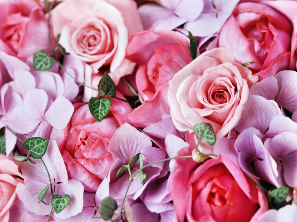 flowers_635.jpg