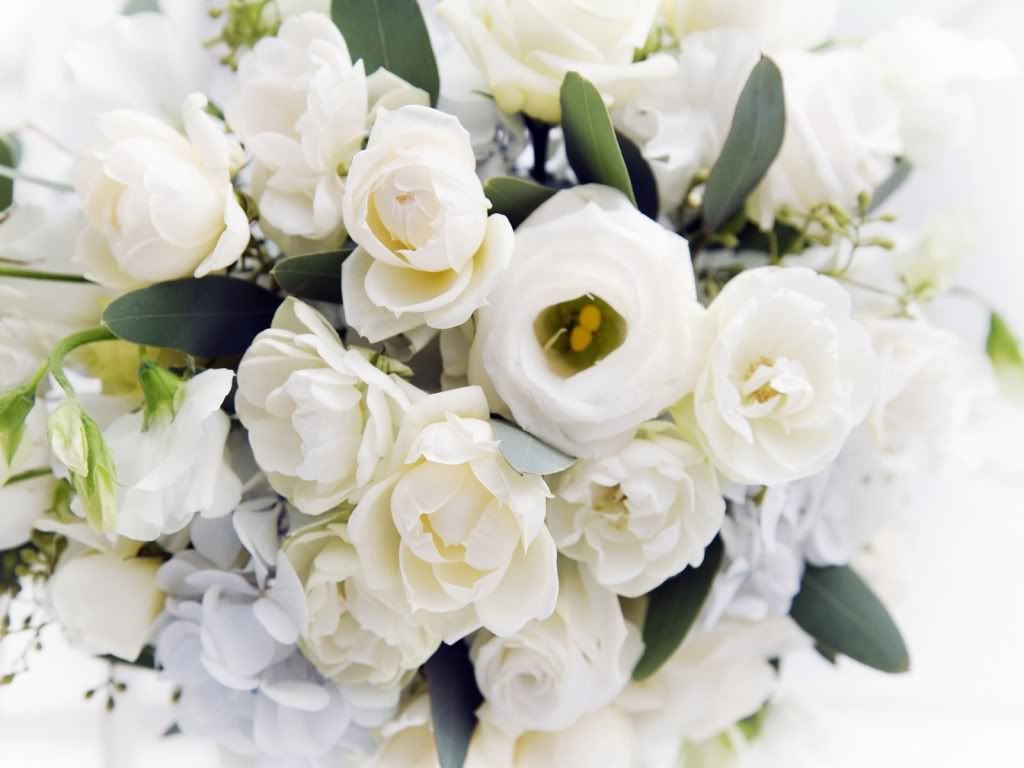 flowers_636.jpg