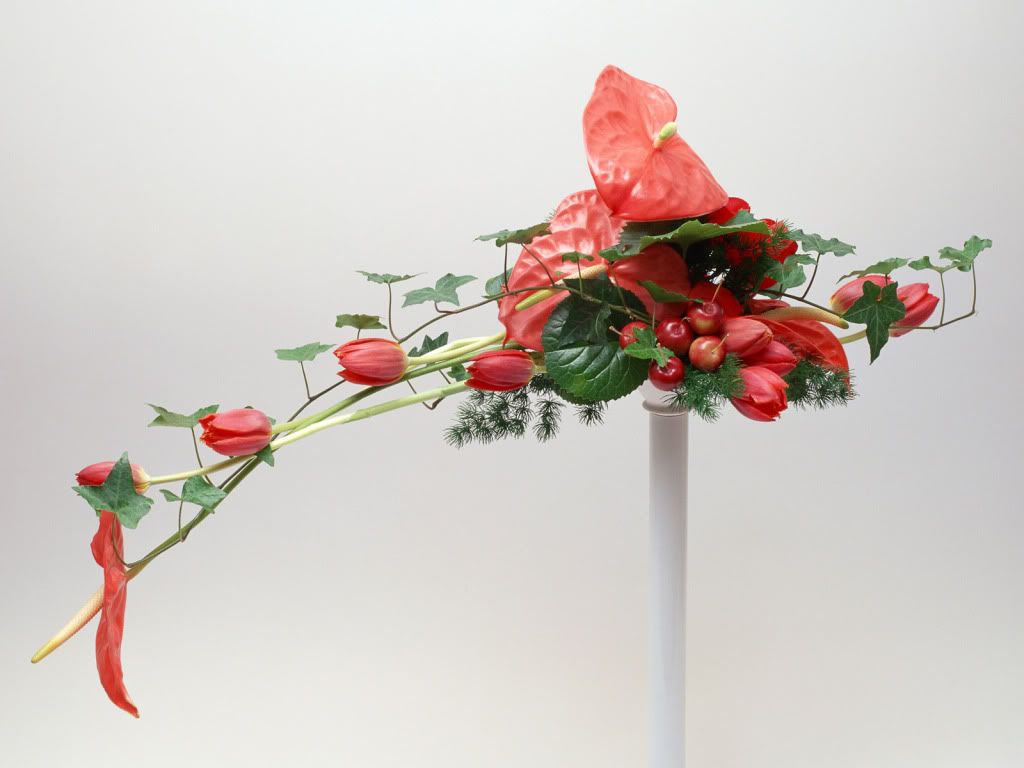 flowers_645.jpg