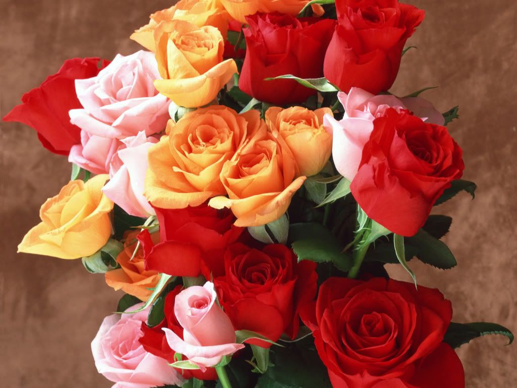 flowers_646.jpg