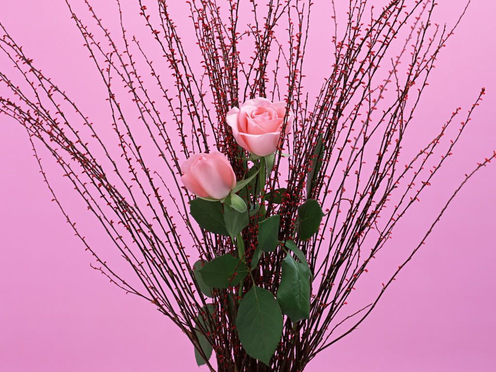 flowers_648.jpg