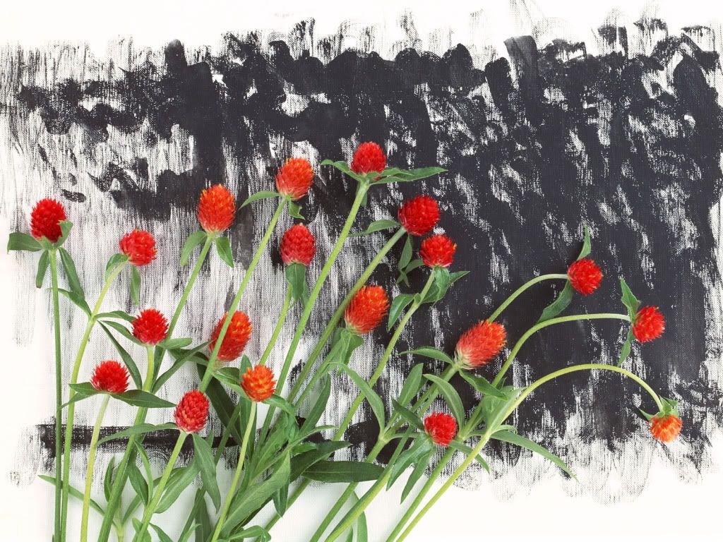 flowers_652.jpg