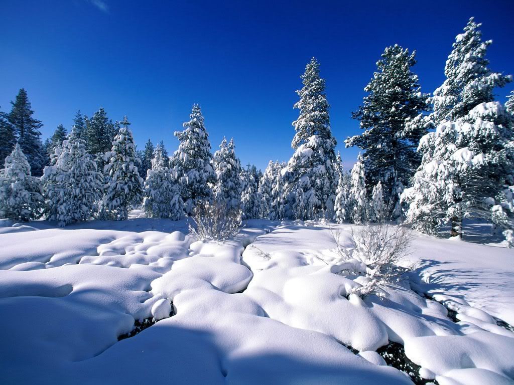 NaturalBlanket-1600x1200-ID.jpg