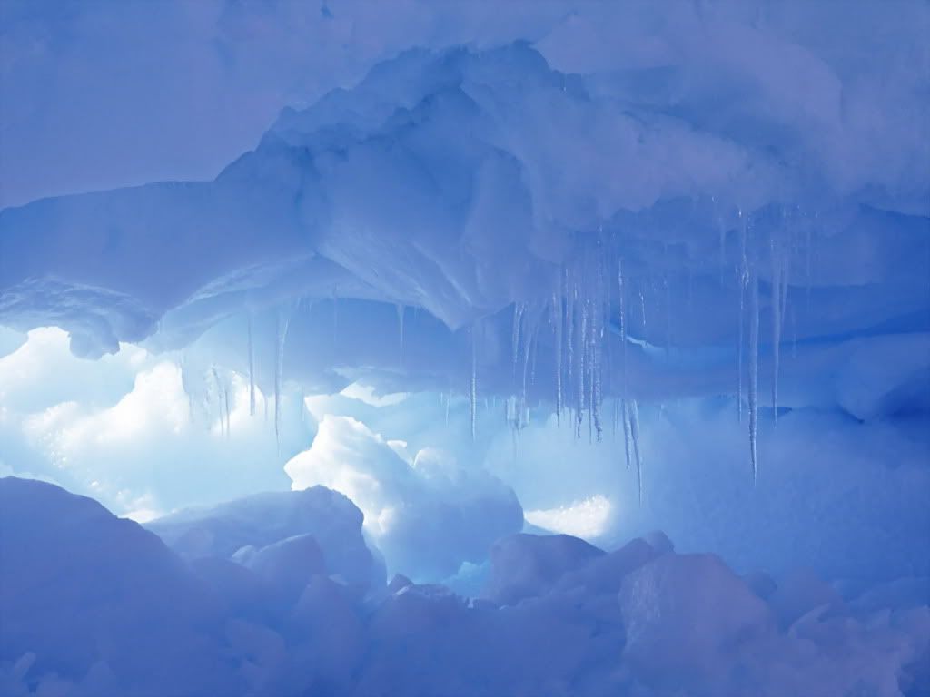 PureWinter-1600x1200-ID3674.jpg