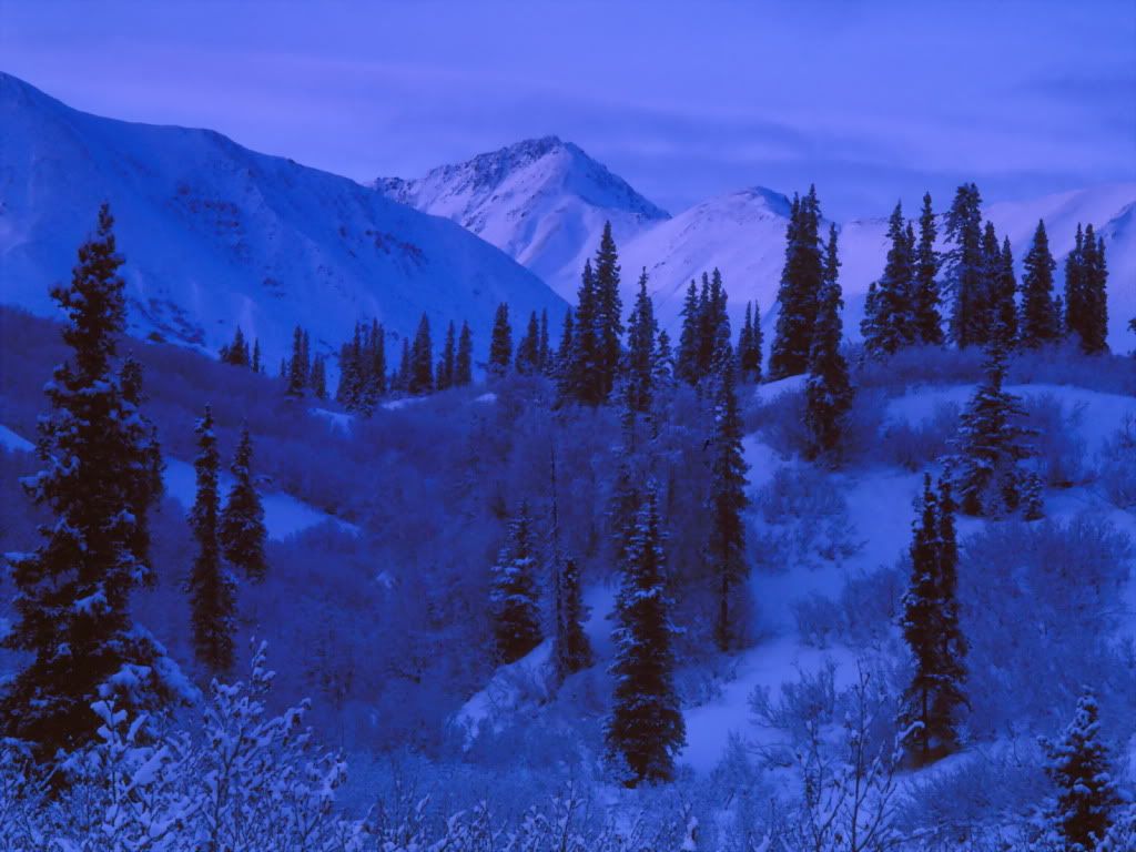 Snow-CoveredAlaskanRange-1600.jpg