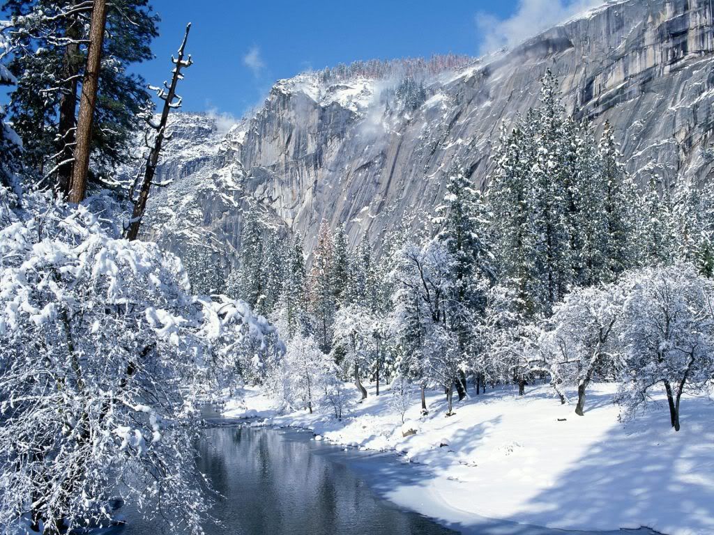 SnowFlocksYosemiteNationalPar.jpg