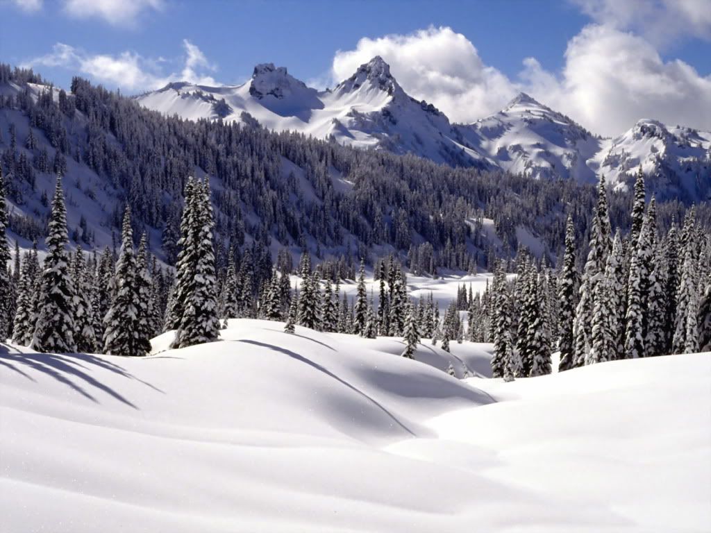 TatooshRangeMountRainierWas.jpg