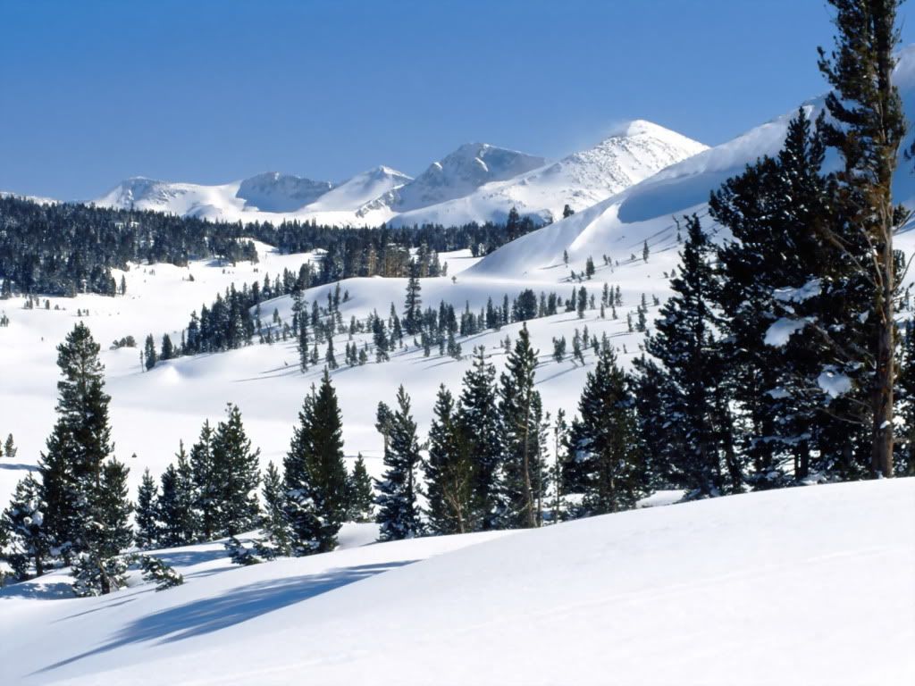 TiogaPassYosemiteNationalPar.jpg