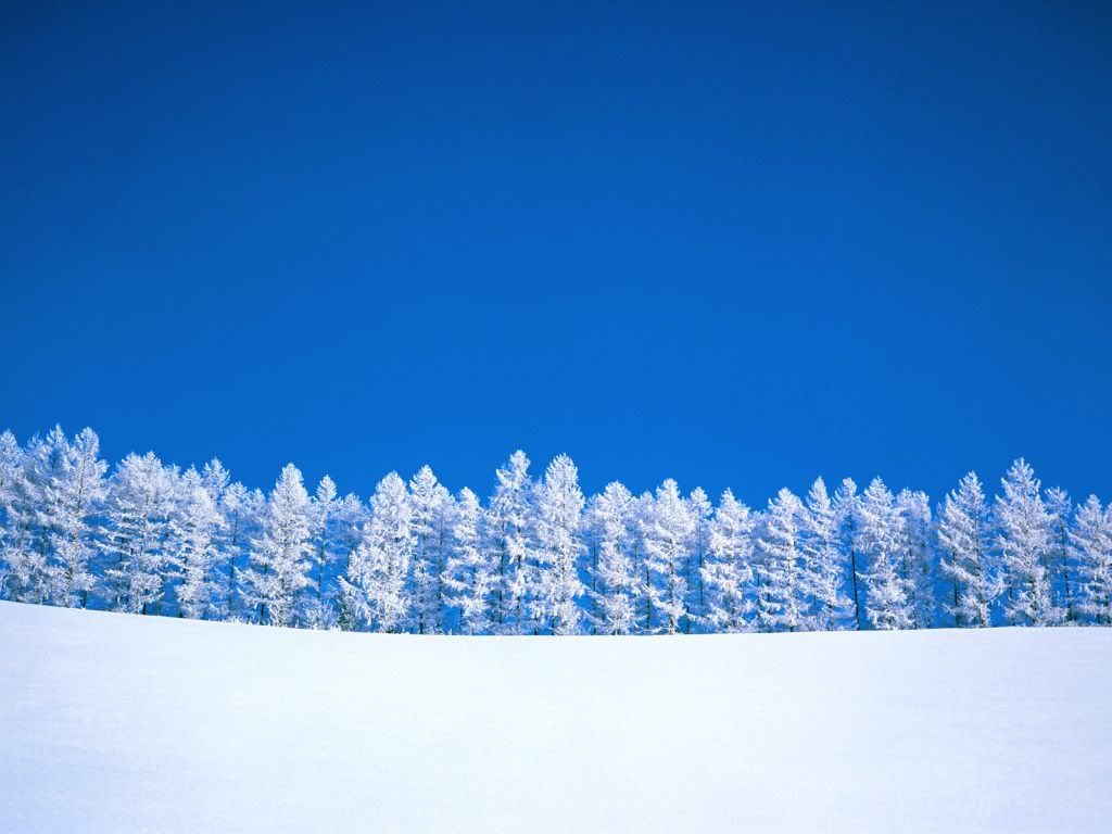 WinterClearing-1600x1200-ID.jpg