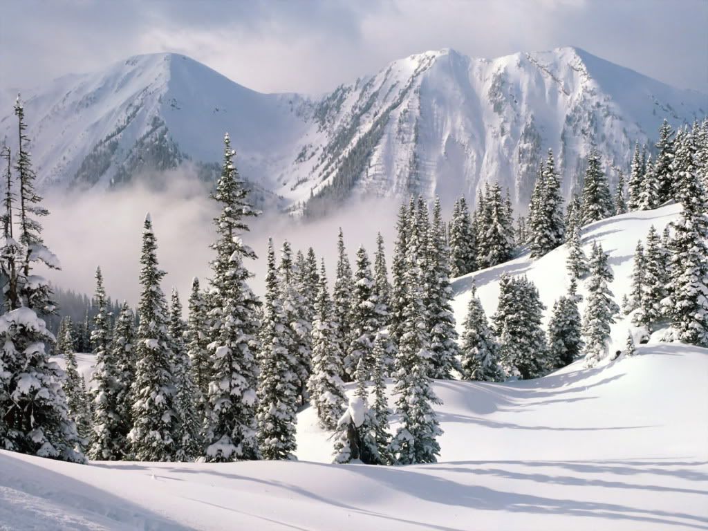 WinterWonderlandBritishColumb.jpg