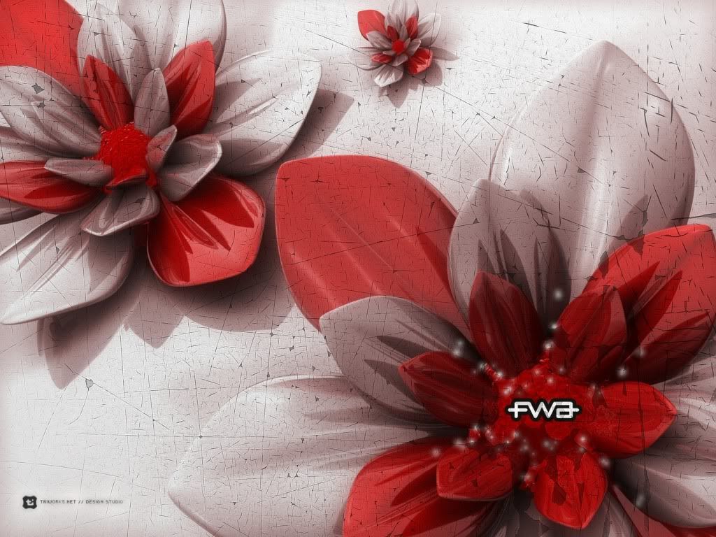 fwa-passion-wallpapers_7049_1600x12.jpg