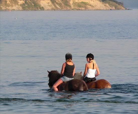 sea_horse_riders.jpg