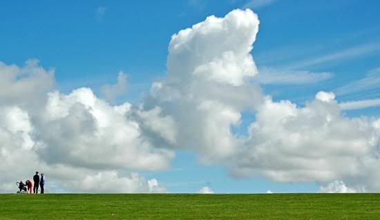sky-grass.jpg