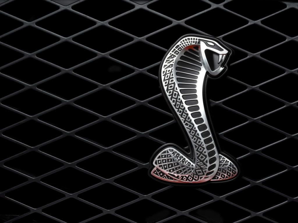 WallpapersMania_vol1-202.jpg