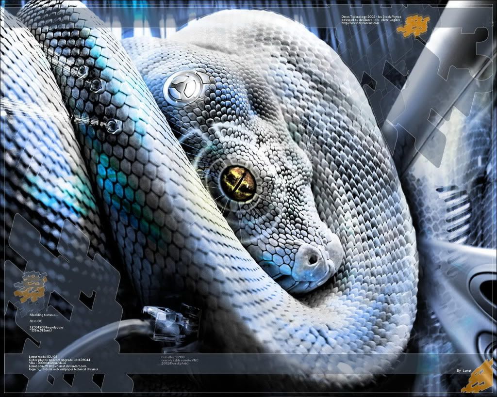 WallpapersMania_vol21-454.jpg