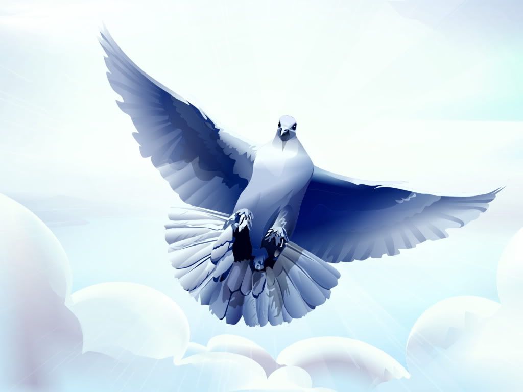 WallpapersMania_vol37-1308-1.jpg