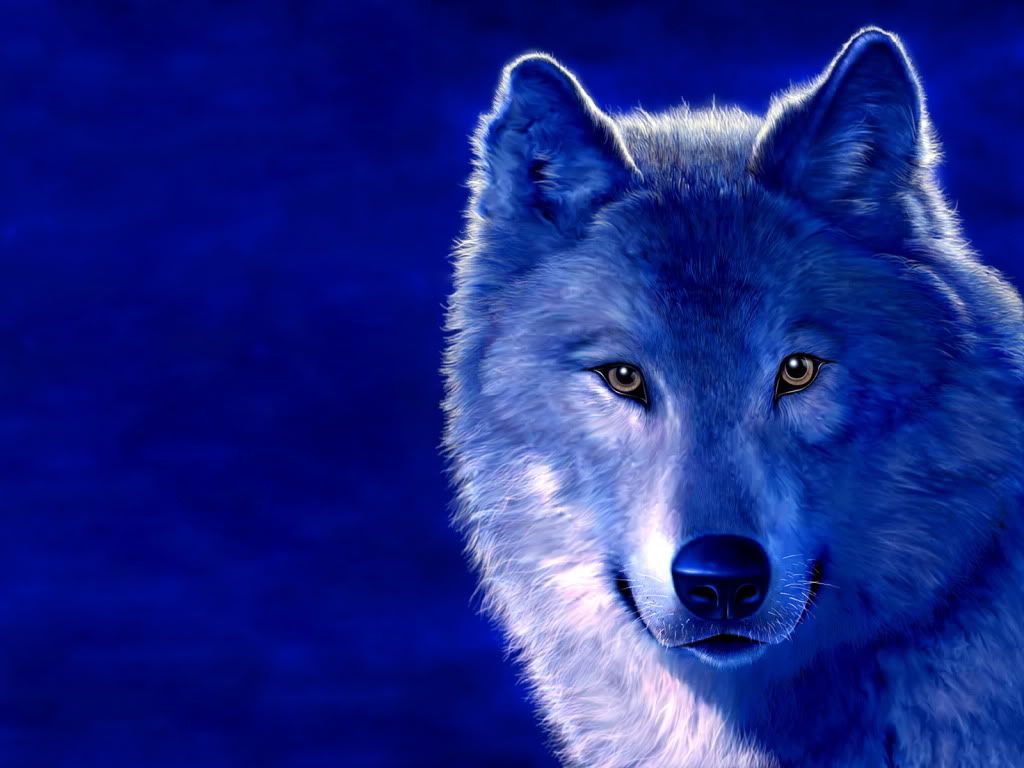 WallpapersManiannmru_vol47-030-1.jpg