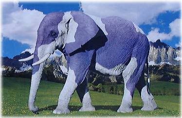 b16.jpg