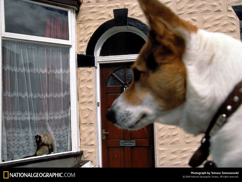 BlackpoolEngland.jpg