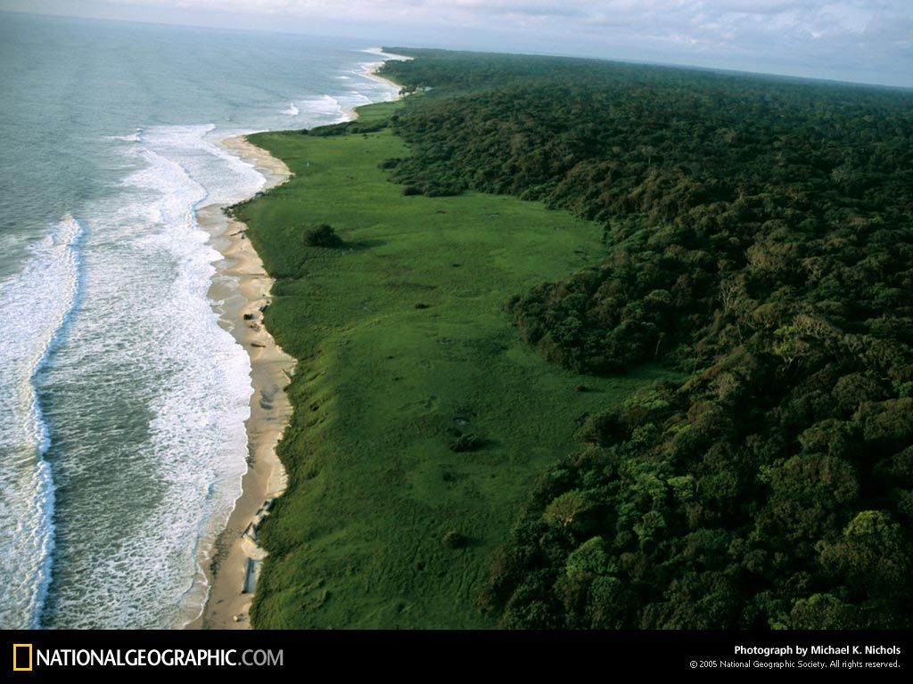 LoangoNationalParkGabonAfrica.jpg