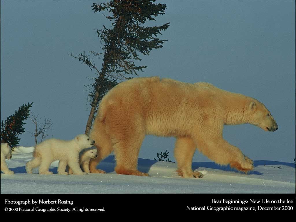NationalGeographic20001.jpg