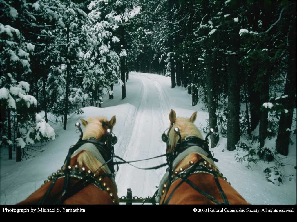 NationalGeographic20003.jpg