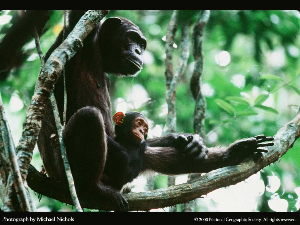 NationalGeographic20004.jpg